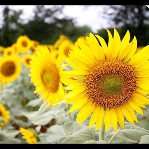 Meet your Posher, Barbara